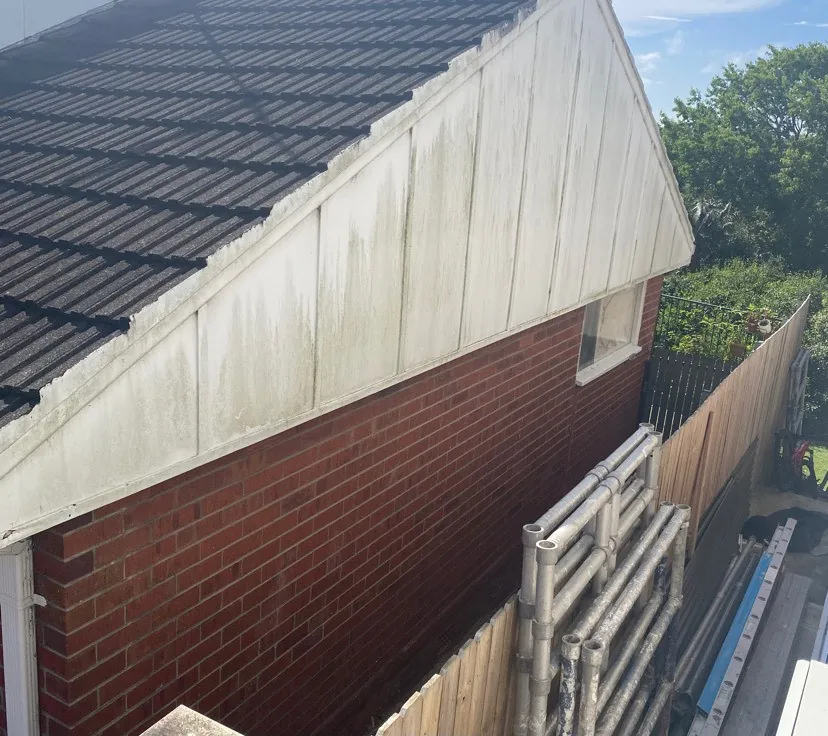 Roof & gutter care — before
