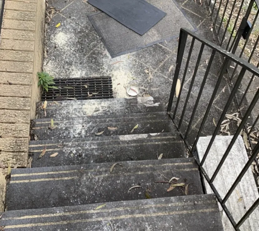 Tiled entry and stairs before cleaning — covered in dirt, mould and leaf litter